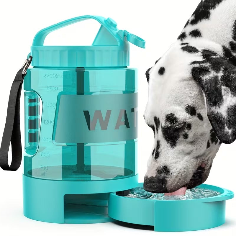 Lake Blue Travel Bottle