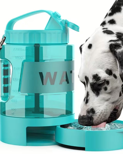 Lake Blue Travel Bottle