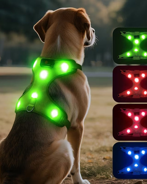 Rechargeable LED No Pull Dog Harness for Safe Walks