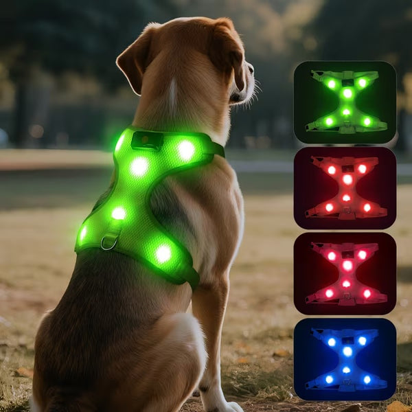 Rechargeable LED No Pull Dog Harness for Safe Walks