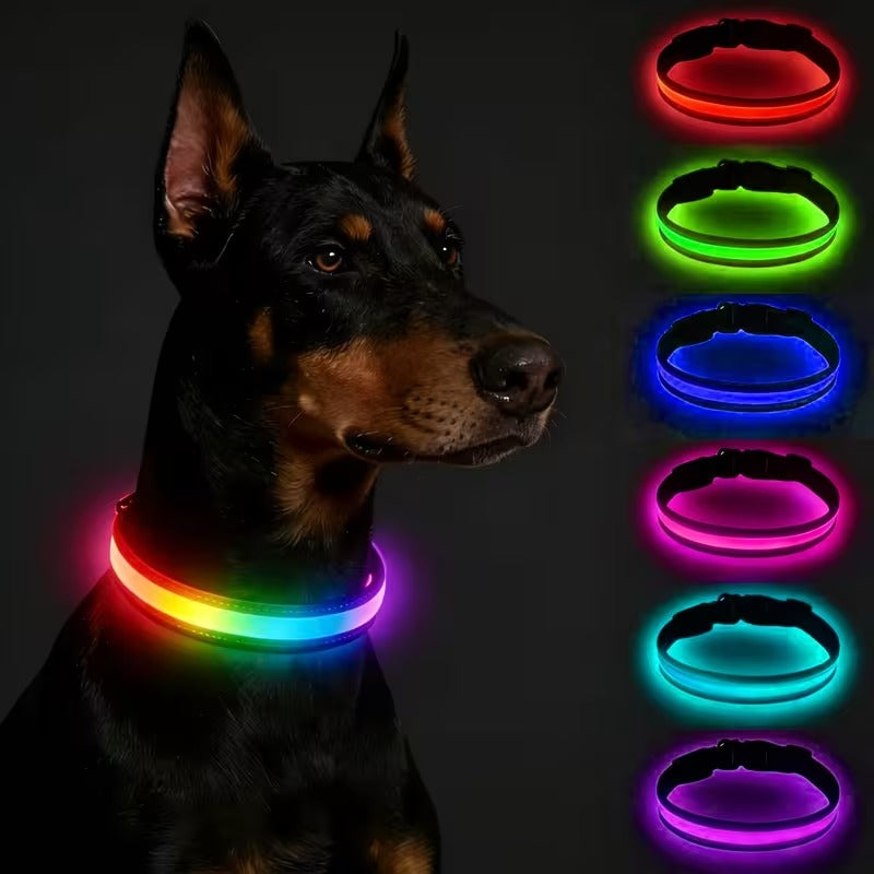 USB-C LED Dog Collar for Night Walks Max