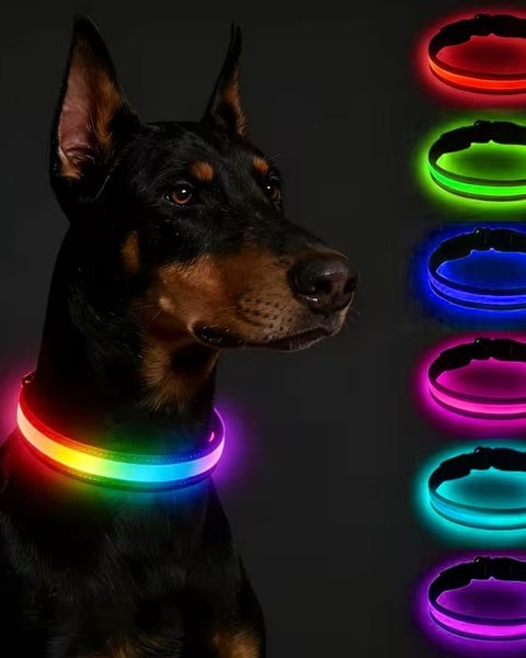 USB-C LED Dog Collar for Night Walks Max