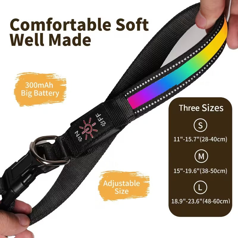 USB-C LED Dog Collar for Night Walks Max