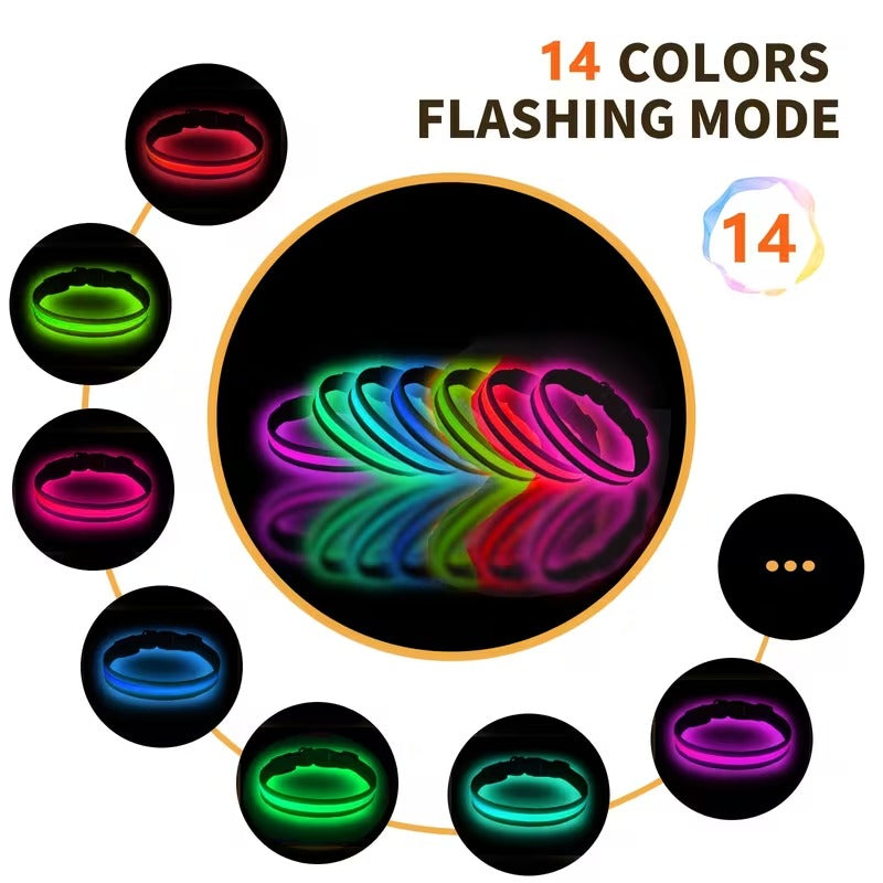 USB-C LED Dog Collar for Night Walks Max