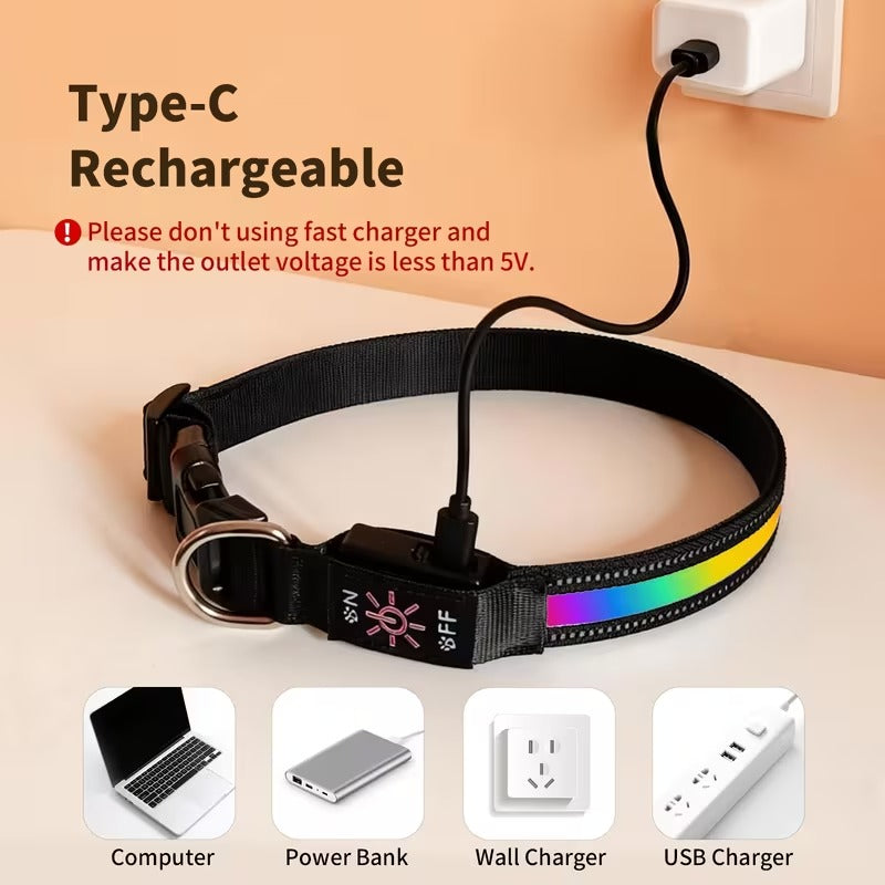 USB-C LED Dog Collar for Night Walks Max