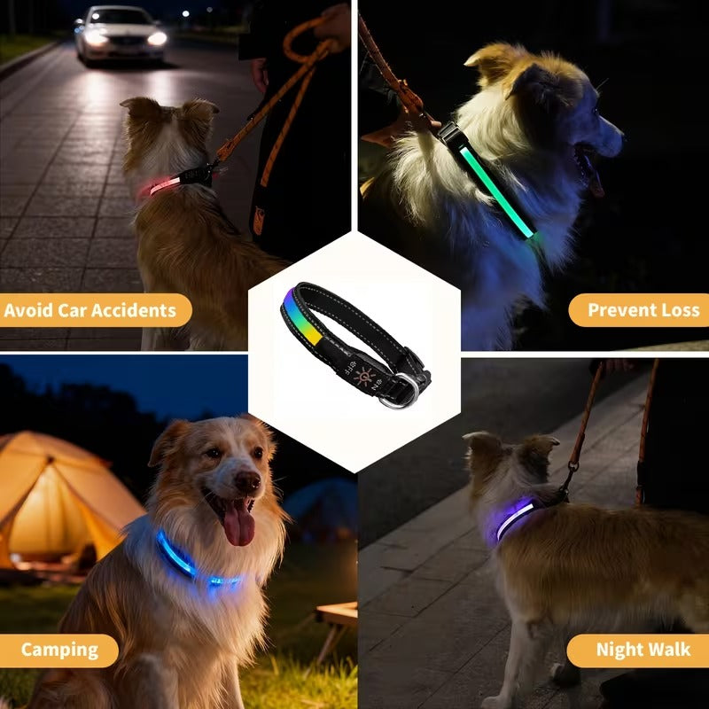 USB-C LED Dog Collar for Night Walks Max