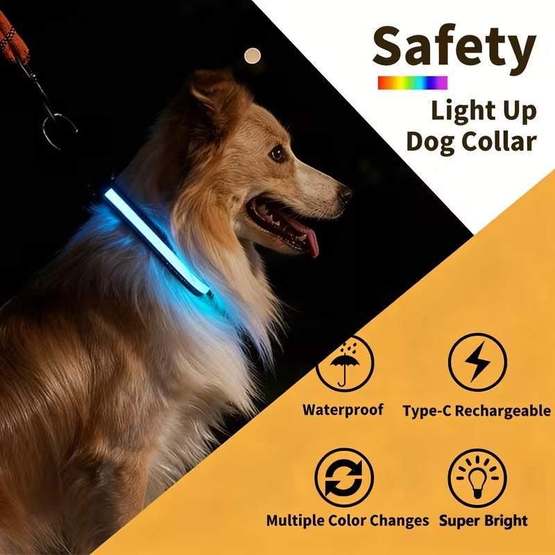 USB-C LED Dog Collar for Night Walks Max