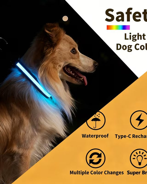 USB-C LED Dog Collar for Night Walks Max