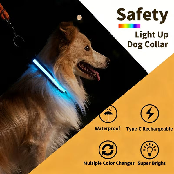 USB-C LED Dog Collar for Night Walks Max