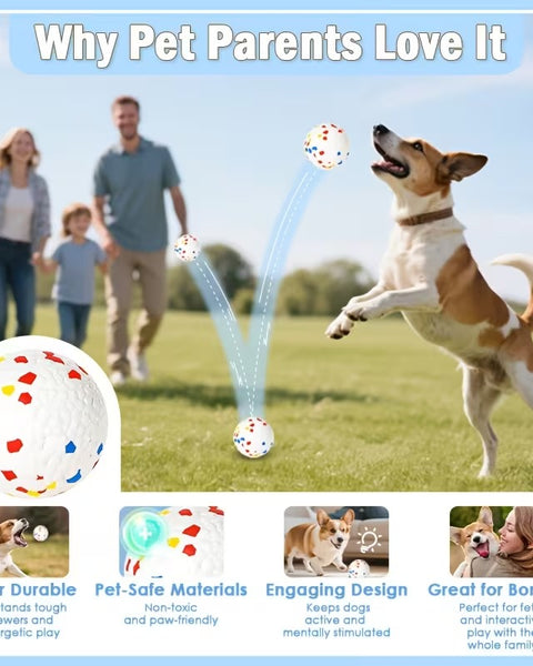 Automatic Dog Ball Launcher for Indoor & Outdoor Play