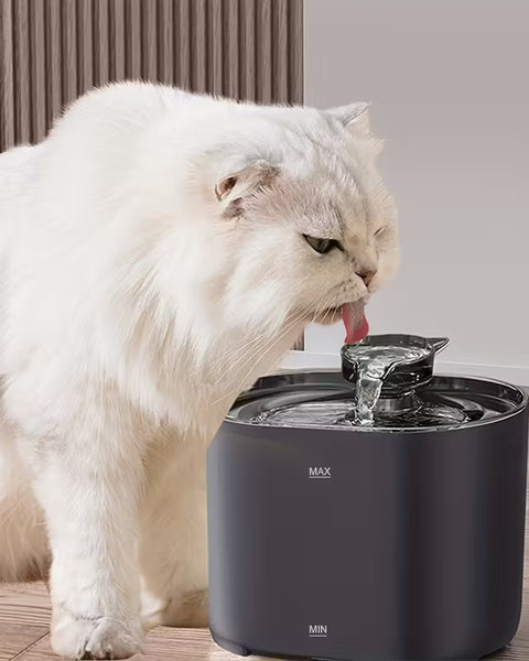 2.2L Smart Fountain Set