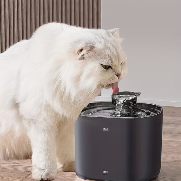 2.2L Smart Fountain Set