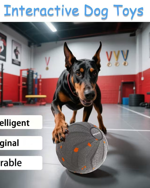 Smart Bouncing Dog Ball