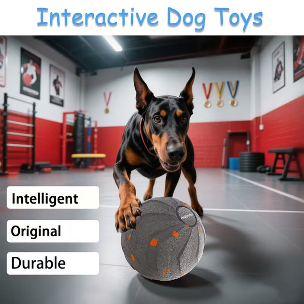 Smart Bouncing Dog Ball