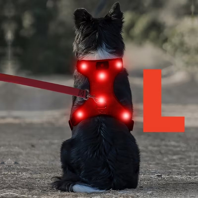 Rechargeable LED No Pull Dog Harness for Safe Walks