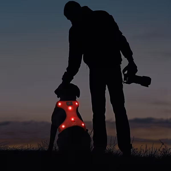 Rechargeable LED No Pull Dog Harness for Safe Walks