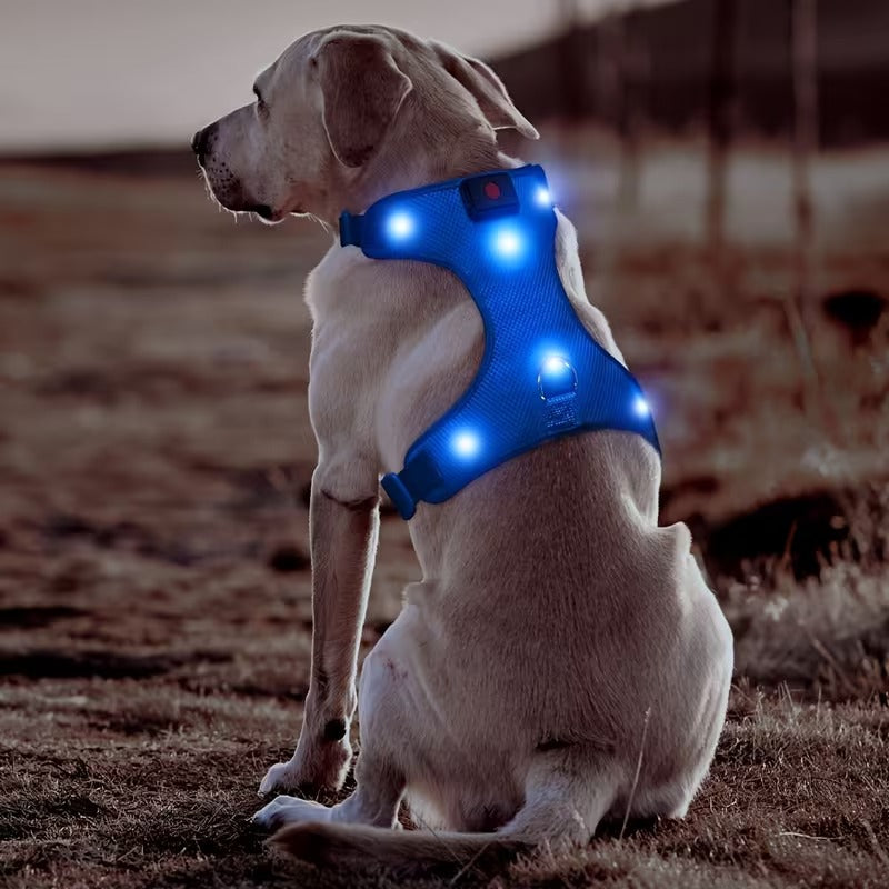 Rechargeable LED No Pull Dog Harness for Safe Walks