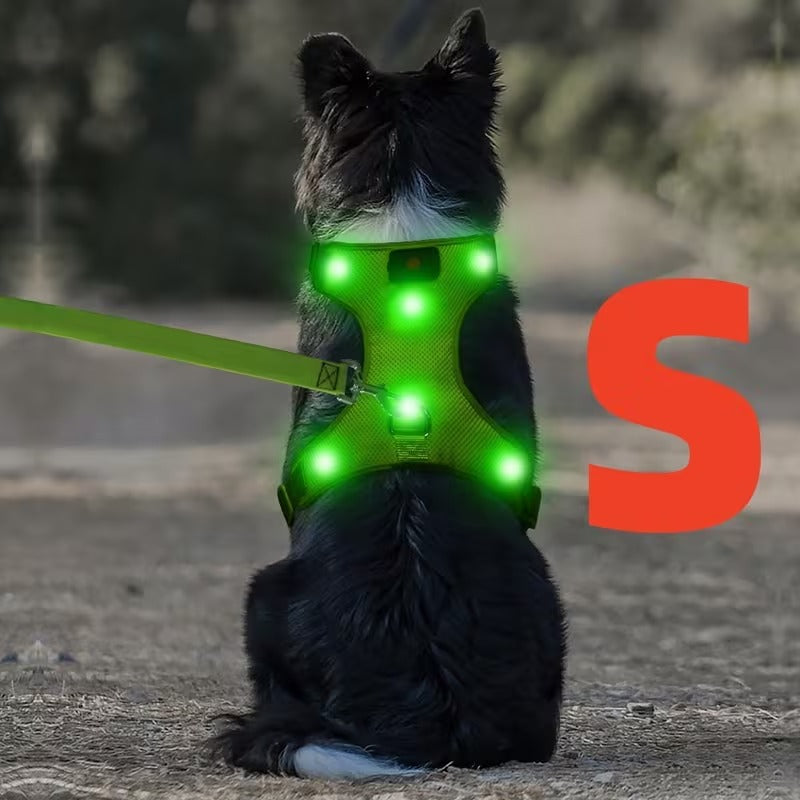 Rechargeable LED No Pull Dog Harness for Safe Walks