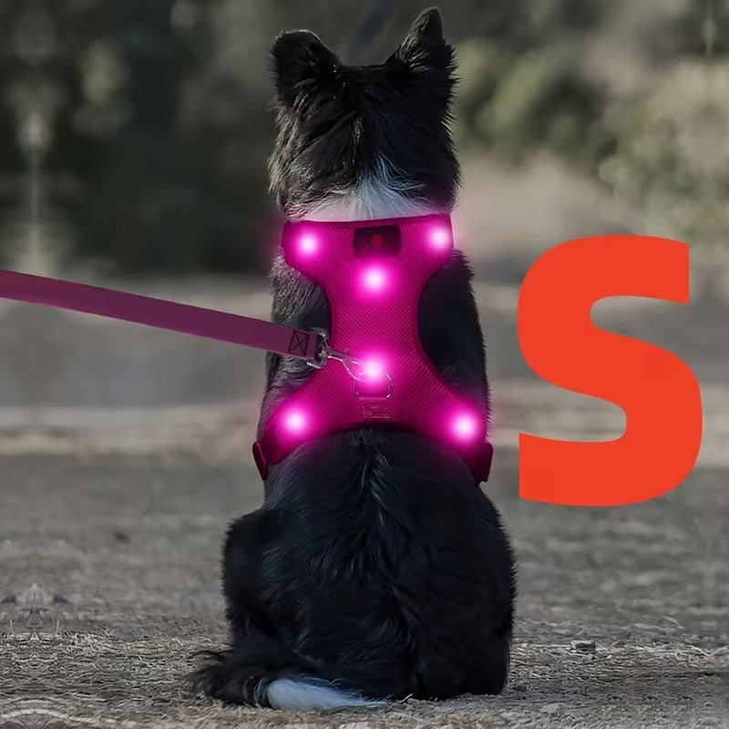 Rechargeable LED No Pull Dog Harness for Safe Walks