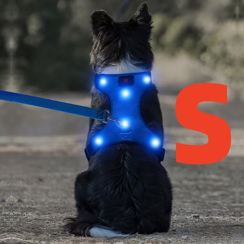 Rechargeable LED No Pull Dog Harness for Safe Walks