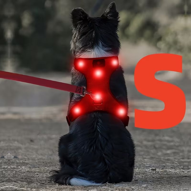 Rechargeable LED No Pull Dog Harness for Safe Walks