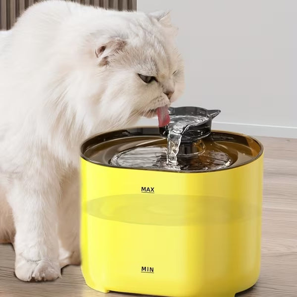 2.2L Smart Fountain Set