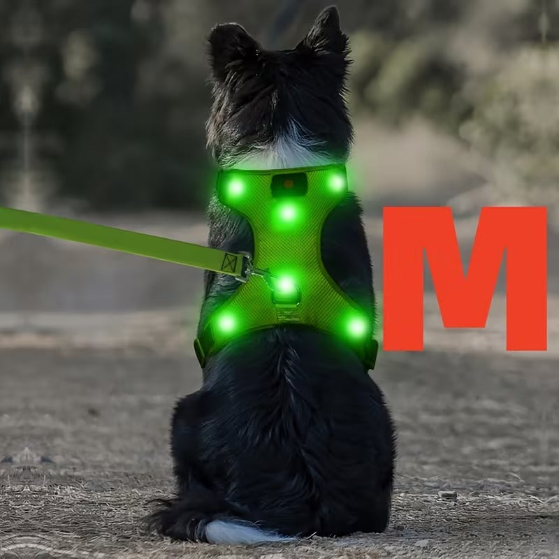 Rechargeable LED No Pull Dog Harness for Safe Walks