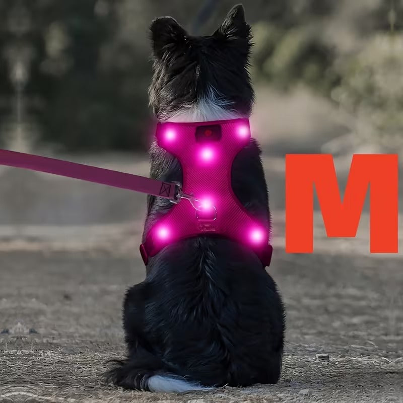 Rechargeable LED No Pull Dog Harness for Safe Walks