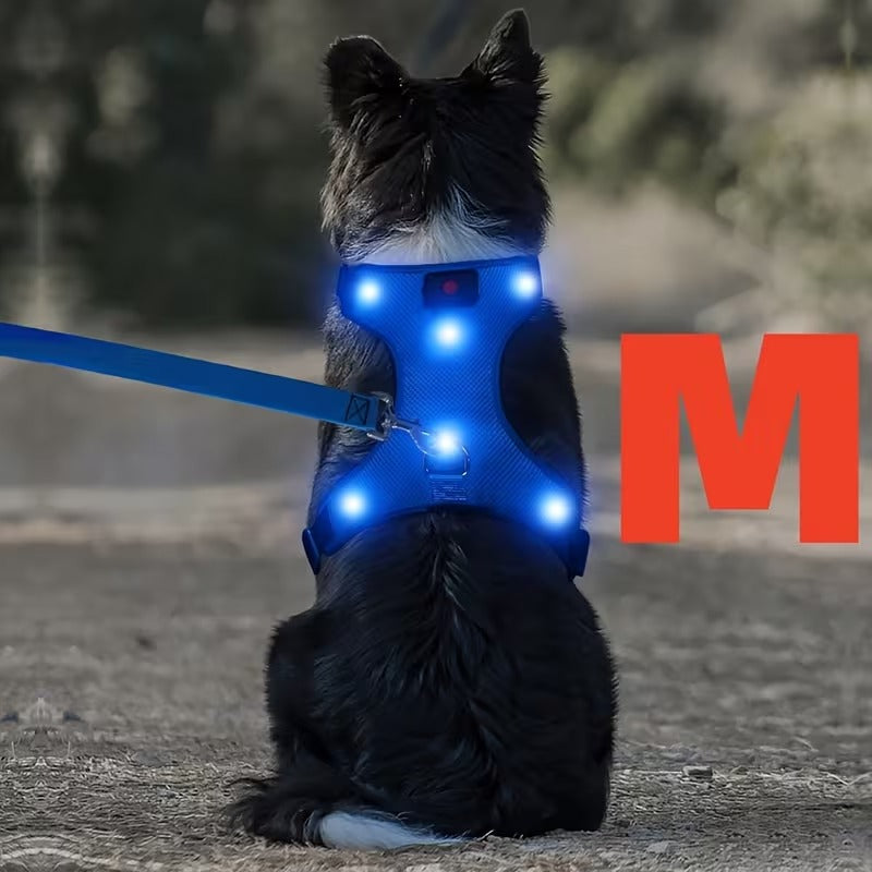 Rechargeable LED No Pull Dog Harness for Safe Walks