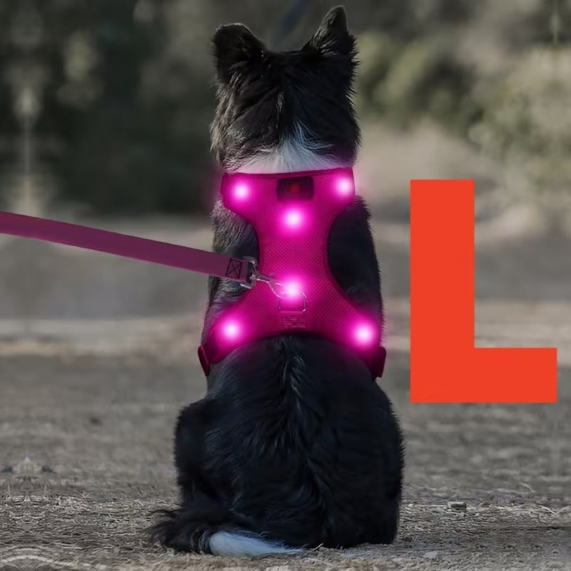 Rechargeable LED No Pull Dog Harness for Safe Walks