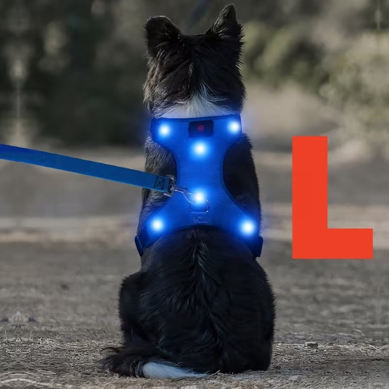 Rechargeable LED No Pull Dog Harness for Safe Walks