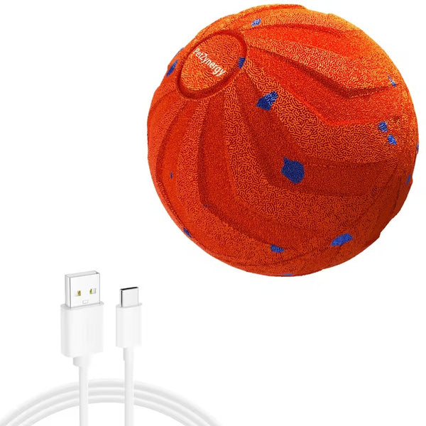 Smart Bouncing Dog Ball
