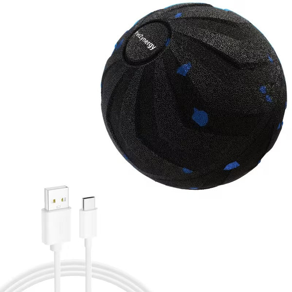 Smart Bouncing Dog Ball