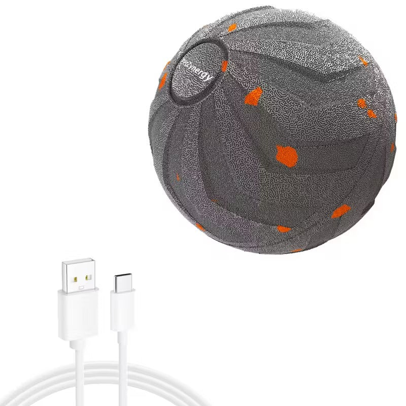 Smart Bouncing Dog Ball