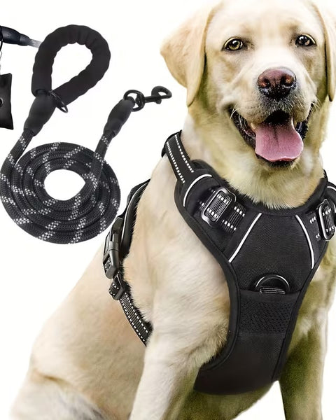 3pcs Escape-Proof Dog Set