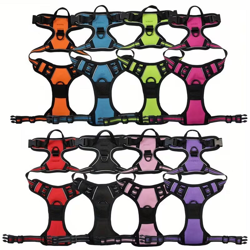 3pcs Escape-Proof Dog Set