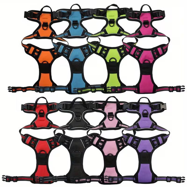 3pcs Escape-Proof Dog Set