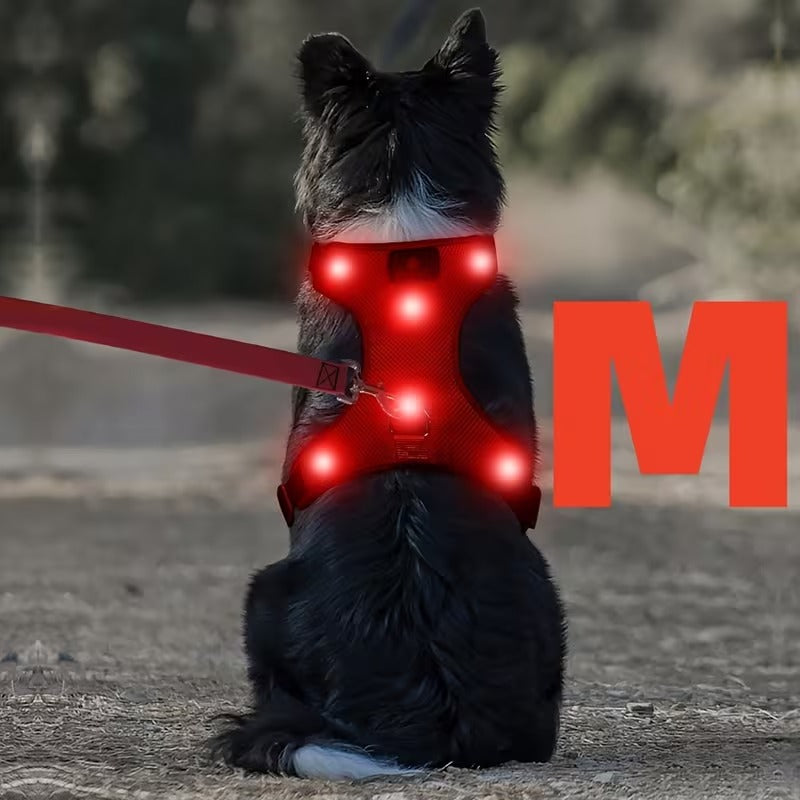 Rechargeable LED No Pull Dog Harness for Safe Walks