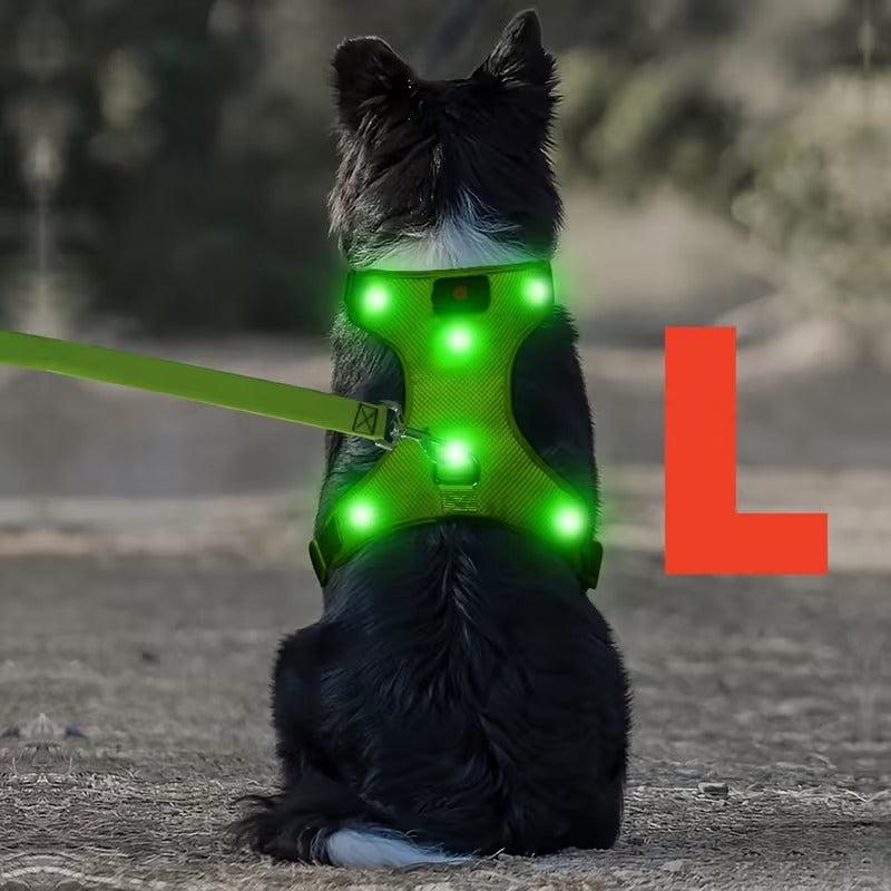 Rechargeable LED No Pull Dog Harness for Safe Walks